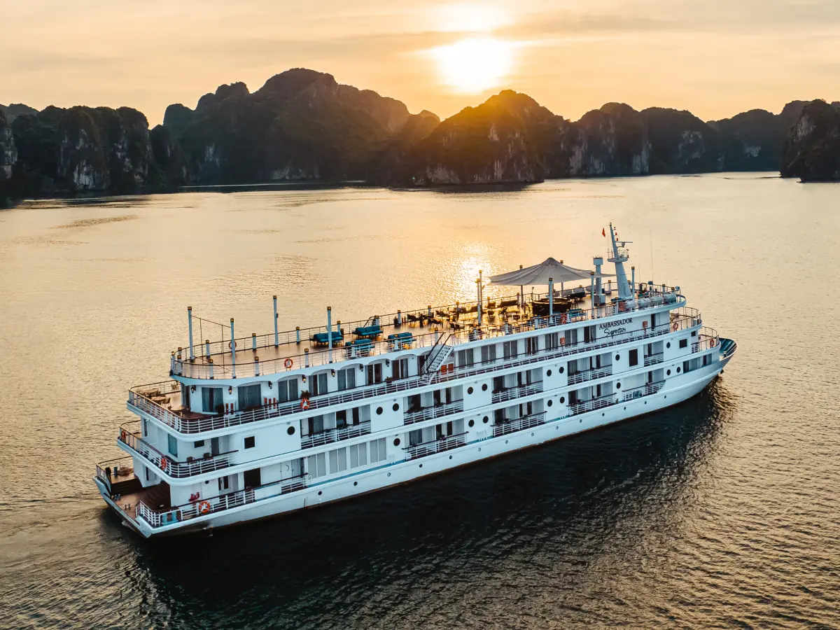 Ambassador Signature in golden evening light