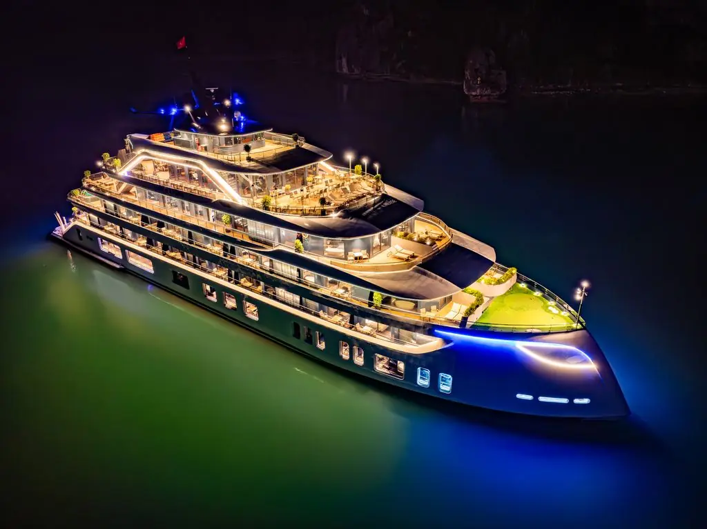 Dora Cruise lit up at night