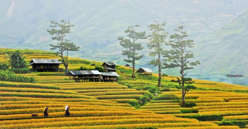 Northern Vietnam Tour 15 Days: Hanoi, Ha Long Bay, Sapa, Ha Giang, Ninh Binh & Mai Chau, Hanoi – photo 11
