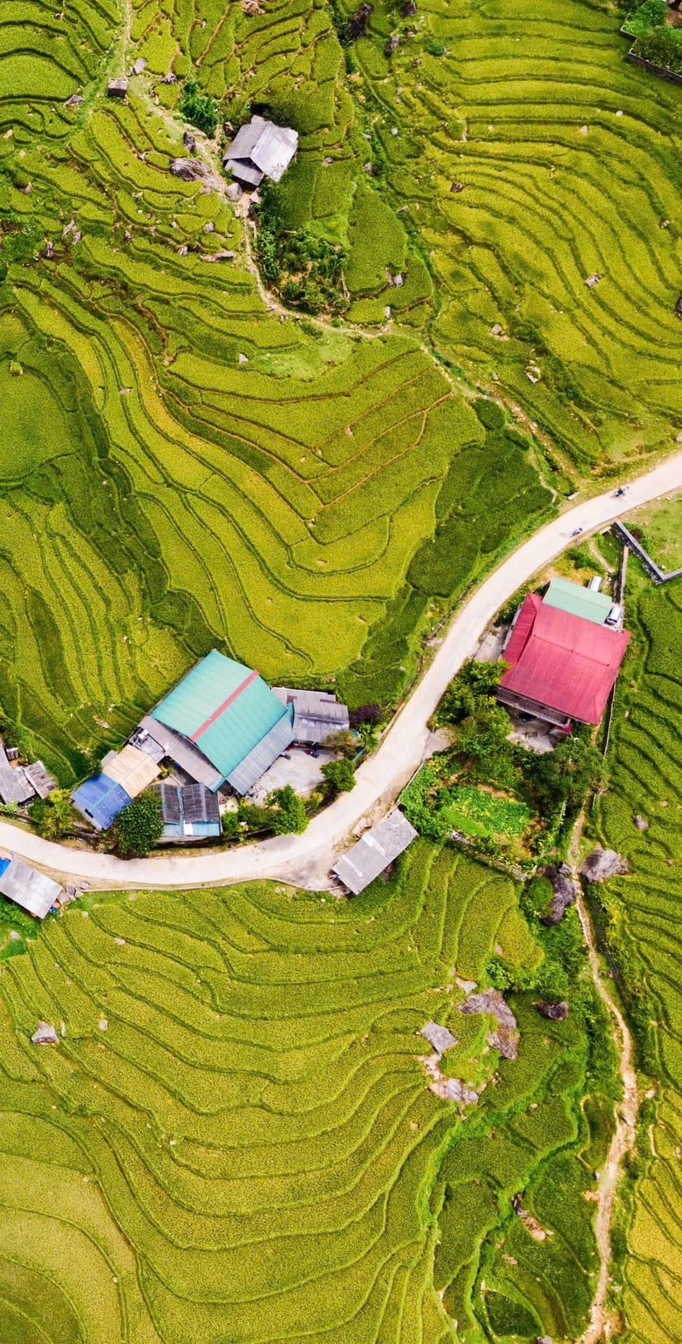 Northern Vietnam Tour 15 Days: Hanoi, Ha Long Bay, Sapa, Ha Giang, Ninh Binh & Mai Chau, Hanoi – photo 6