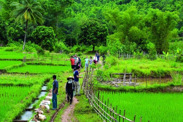Mai Chau Day Trip from Hanoi, Mai Chau & Pu Luong – photo 3