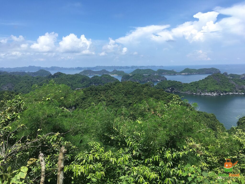 View over Lan Ha Bay