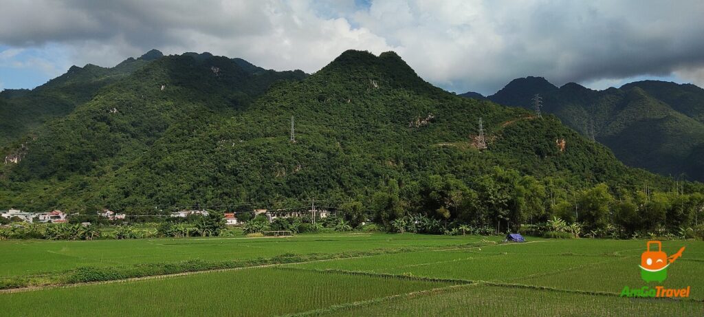 Rice fields and mountains of Mai Chau valley