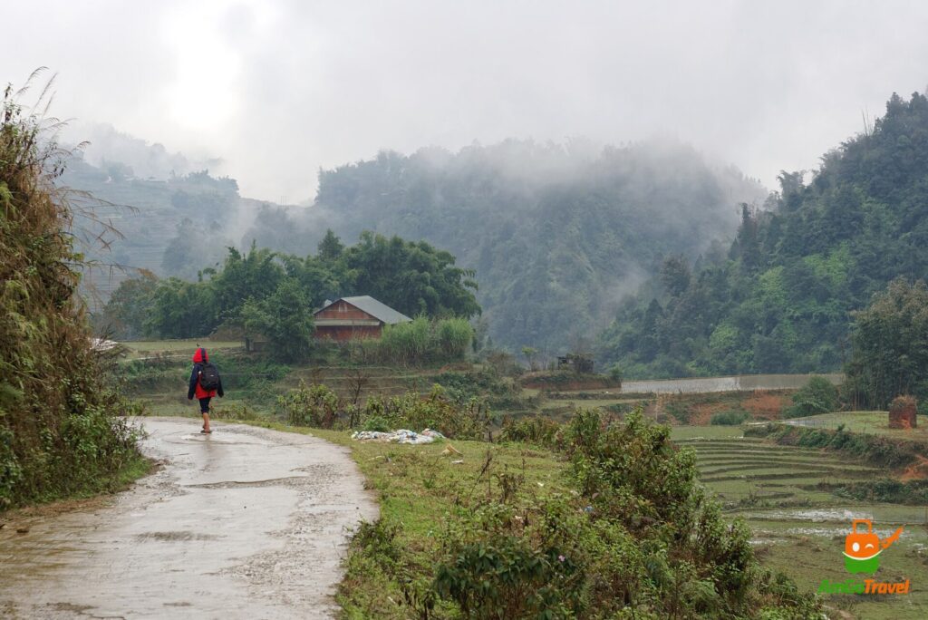 Misty road between rice fields in Sapa