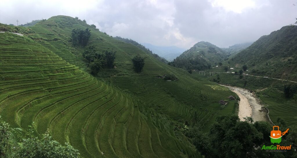 Rice terraces in Muong Hoa Valley, Sapa