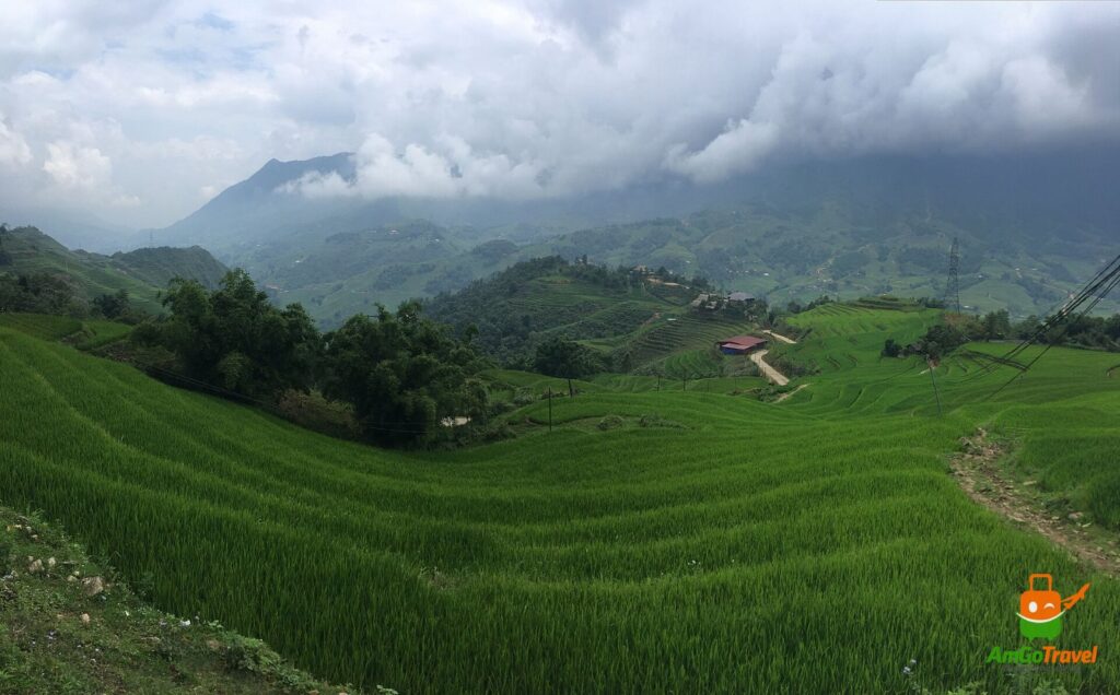 Green rice terraces and mountains in Sapa