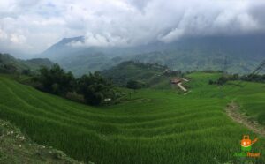Green rice terraces and mountains in Sapa