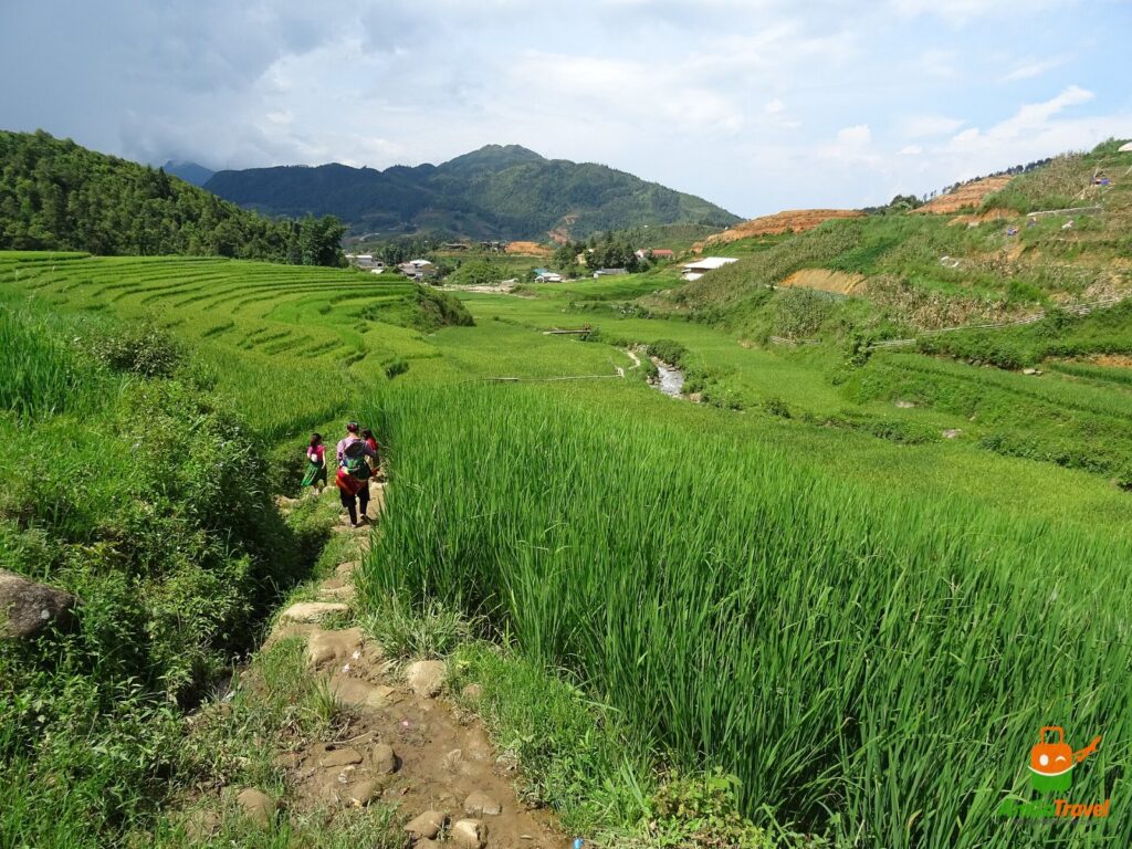 Trekking path through the rice terraces of Sapa